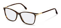 Rodenstock-Bril-R5363-havana/gold
