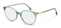 Rodenstock-Bril-R5364-bluegreen/gold