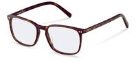 Rodenstock-Monture de correction-R5357-darkhavana